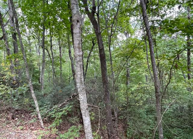 Property at LT 20 Enchanted Rdg, Hayesville, NC 28904