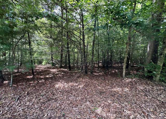 Property at 95 Rabbit Knob Dr, Young Harris, GA 30582