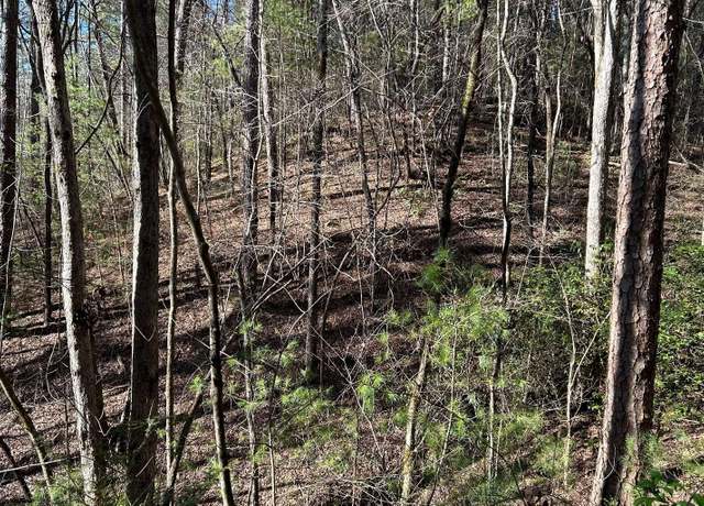 Property at LT 77 Roaring Forks Ln, Ellijay, GA 30540