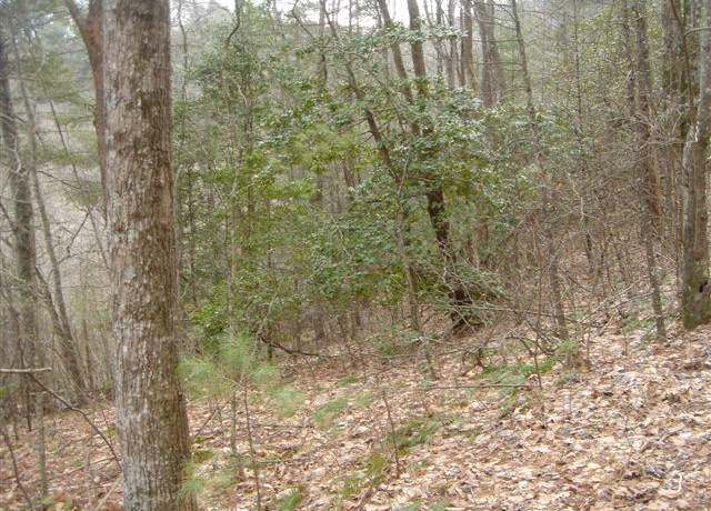 Property at Lot 18 Highland Xing, Blairsville, GA 30512