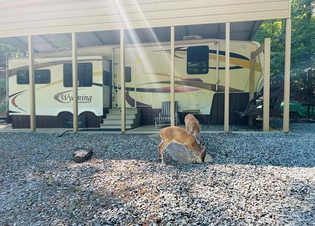 Property at 259 37th St, Ellijay, GA 30540, 1 bed, 1 bath