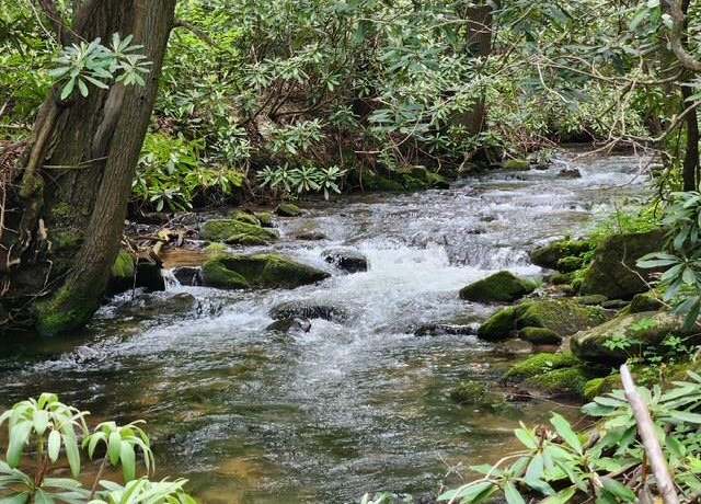 Property at LL 25 Cashes Vly, Cherry Log, GA 30522