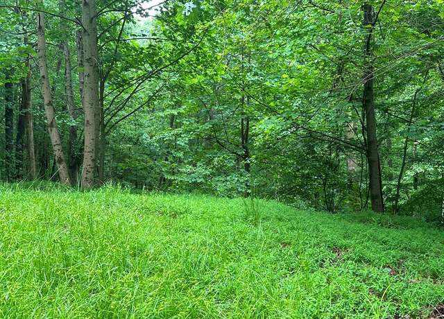 Property at Lot 59 Timberwalk Dr, Ellijay, GA 30540