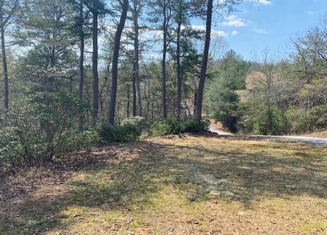 Property at Lot 28 Brasstown Trl, Brasstown, NC 28909