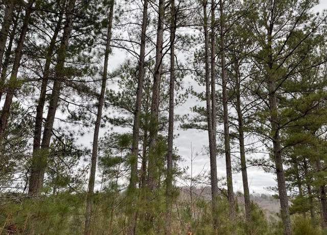 Property at LOT45 Pinehurst Rd, Blairsville, GA 30512