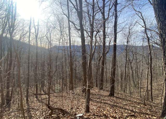 Property at TR. 1 Caesar Gap Rd, Hiawassee, GA 30546