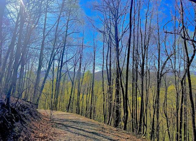 Property at 29 AC Hidden Valley Dr, Ellijay, GA 30536
