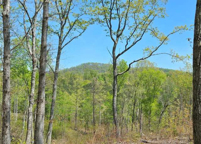 Property at Lot 209 Oak Park Dr, Talking Rock, GA 30175