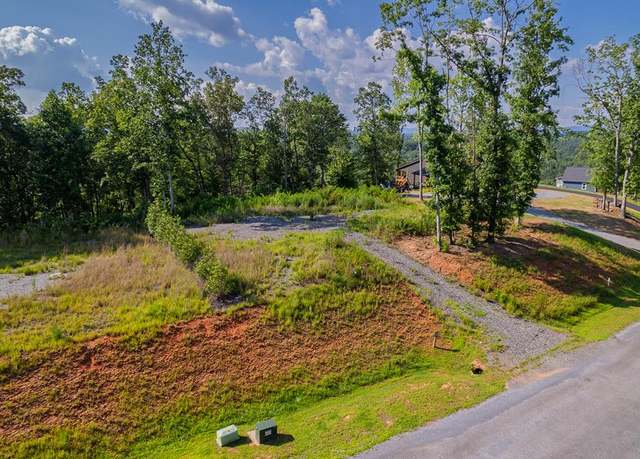Property at 121 Jakes Landing Dr, Ellijay, GA 30540