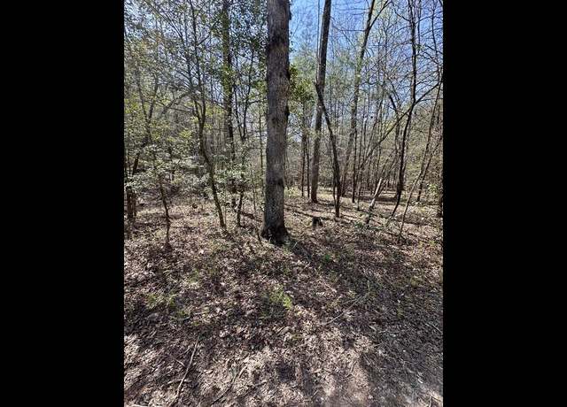 Property at TR C E New Hope Rd E, Ellijay, GA 30536