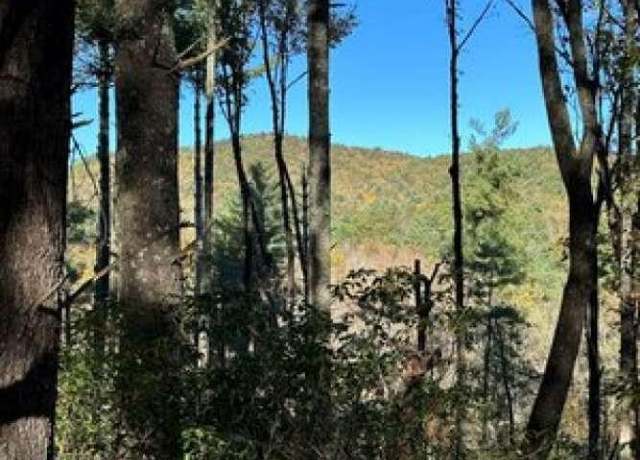 Property at 0 Chief Whitetails Rd, Ellijay, GA 30540
