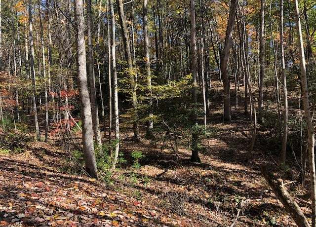Property at LT448 Apache Ct, Ellijay, GA 30540