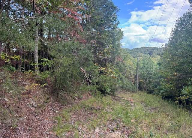 Property at 13.57 Ac Burnt Mountain Cove Rd, Jasper, GA 30143