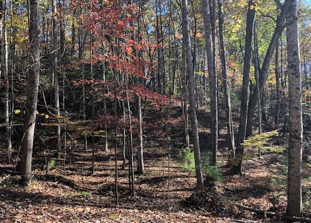 Property at LT449 Apache Ct, Ellijay, GA 30540