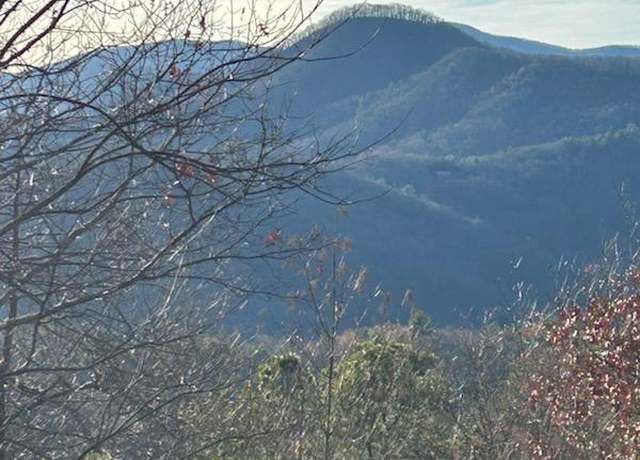 Property at 8 The Ridges /Bill Bro, Hiawassee, GA 30546