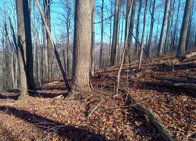 Property at LT M214 Walnut Rdg, Ellijay, GA 30536