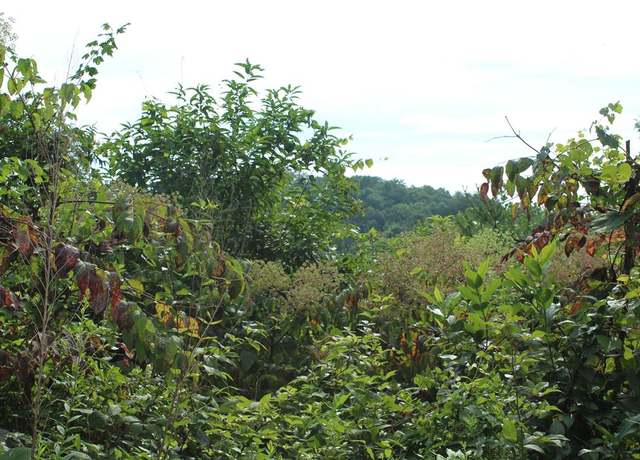 Property at Lot 26 Trillium Heights Cir, Hayesville, NC 28904