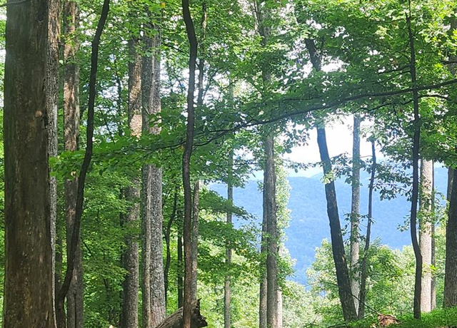 Property at LT M212E Walnut Rdg, Ellijay, GA 30540