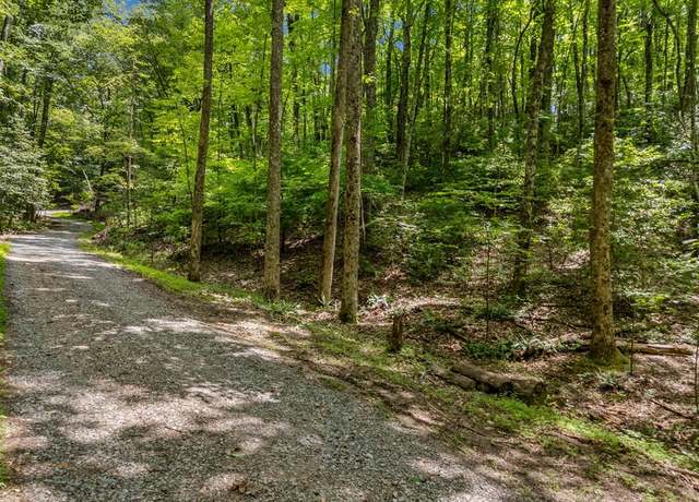 Property at 0 Paradise Ln, Ellijay, GA 30540