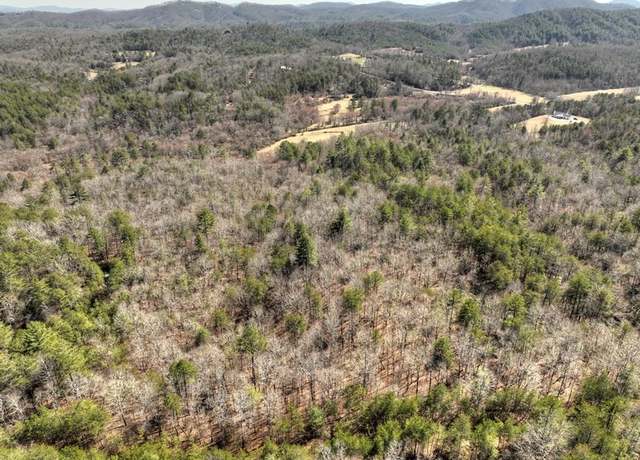 Property at 48.4ac Lofty Hts, Mineral Bluff, GA 30559