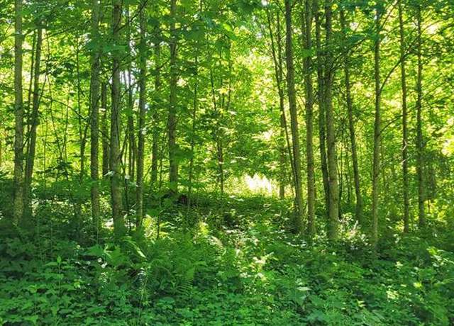 Property at Lot 1 Hickory Rdg, Hayesville, NC 28904