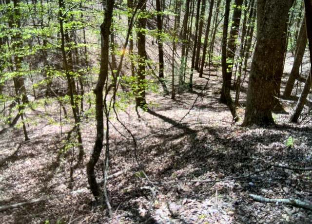 Property at 0 Othello Dr, Ellijay, GA 30540