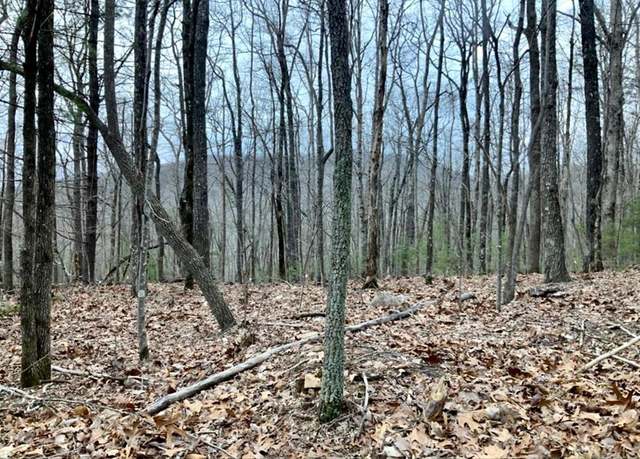 Property at Tract 21 Old Parker Ter, Ellijay, GA 30540