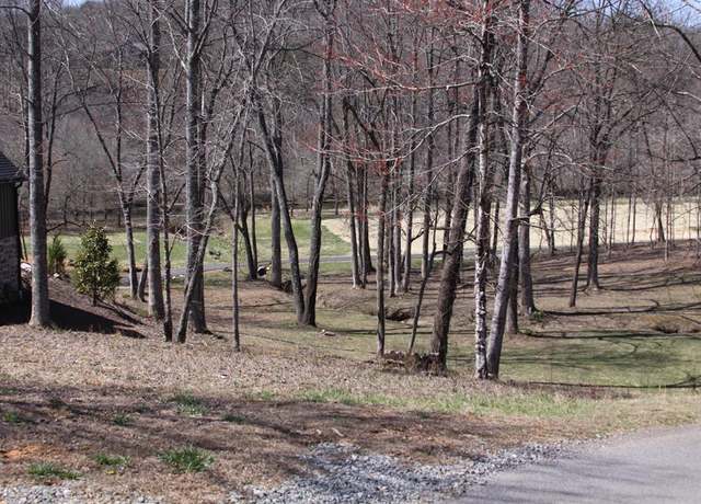 Property at Lot HP21 E Old Toccoa Loop, Mineral Bluff, GA 30559