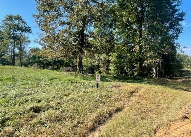 Property at Lot 5 Clear Creek Preserve Way, Ellijay, GA 30536