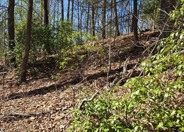 Property at 400Block Mountain Rdg, Blue Ridge, GA 30513