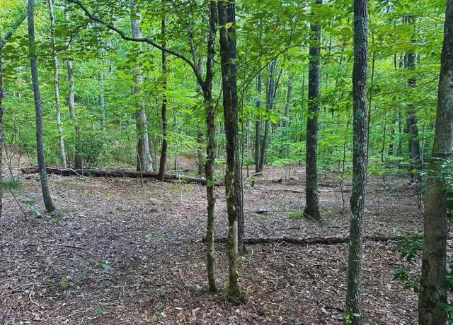Property at Lot 57 Asheland Cove Dr, Young Harris, GA 30582