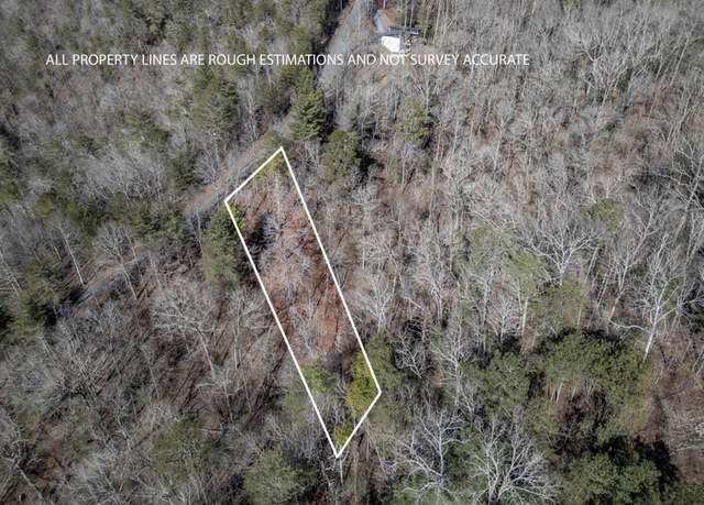 Property at Lot 1636 Long Branch Dr, Talking Rock, GA 30175