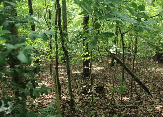 Property at Lot 20 Skid Strip Ln, Hayesville, NC 28904