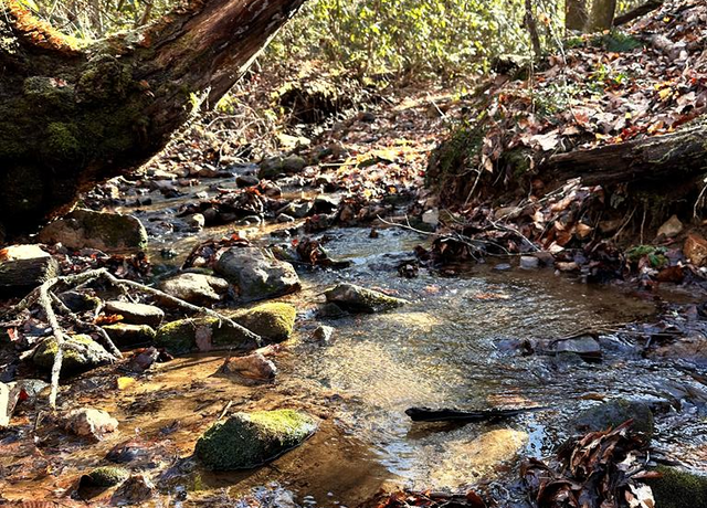 Property at Lot 22 Valley River Walk, Murphy, NC 28905