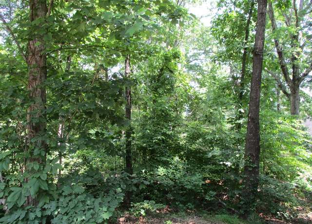 Property at 74A Licklog Rdg, Hayesville, NC 28904