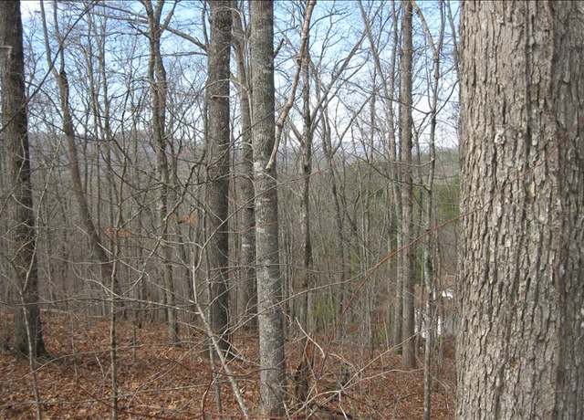 Property at LOT25 Scarletts Way, Young Harris, GA 30582
