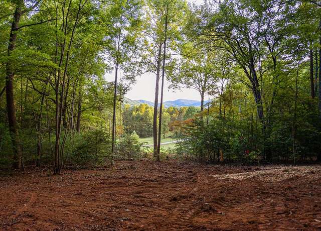 Property at 0 Cottonwood Ln, Blue Ridge, GA 30513