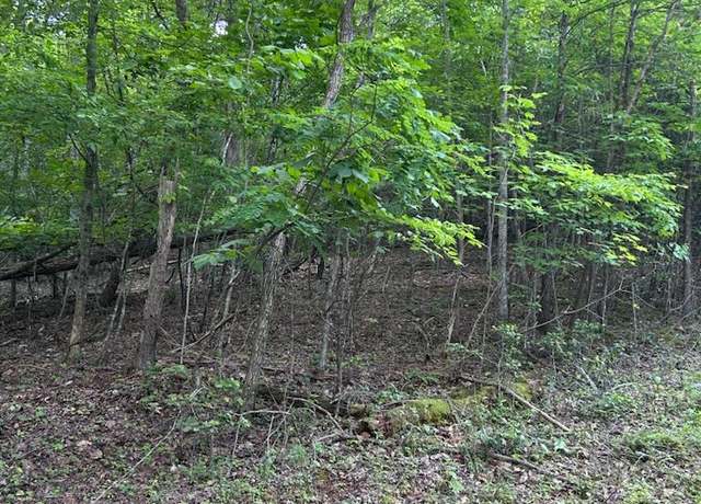 Property at 1 White Eagle Rd, Hiawassee, GA 30546