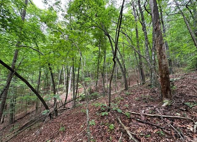 Property at 0 Creekview Dr, Ellijay, GA 30356