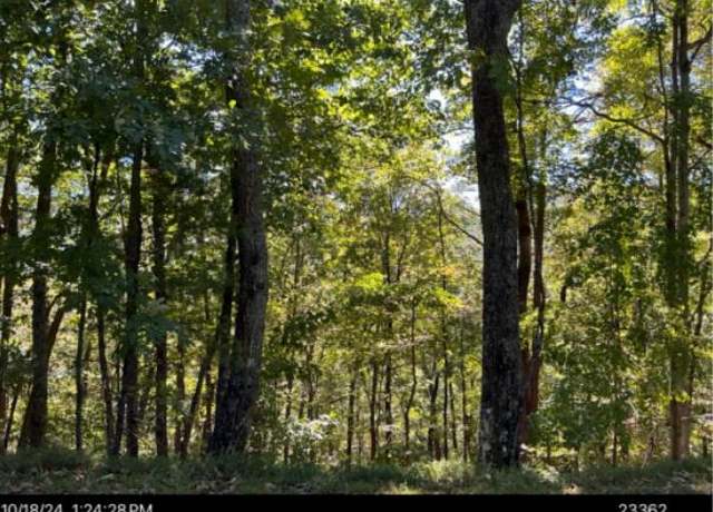 Property at Lot A28 Laurel Rdg, Ellijay, GA 30536
