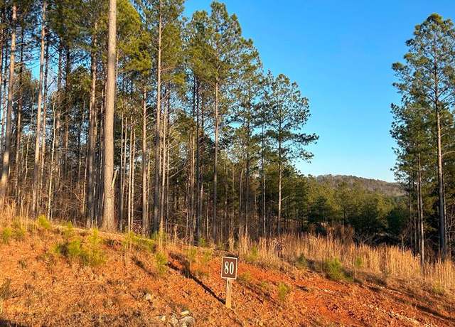 Property at LT 80 Seven Mile Creek Rd, Talking Rock, GA 30175