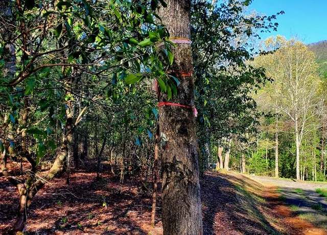 Property at H-5 River Sound Vlg, Hayesville, NC 28904