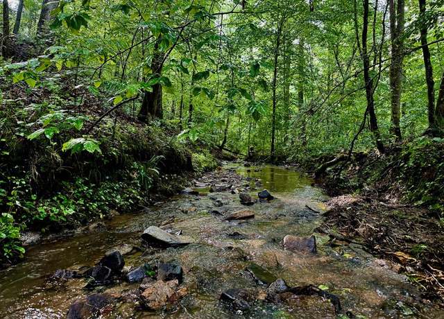 Property at 00000 Hwy 136, Talking Rock, GA 30175