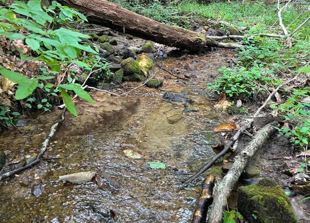 Property at 3.85 AC Old Aska Rd S, Blue Ridge, GA 30513