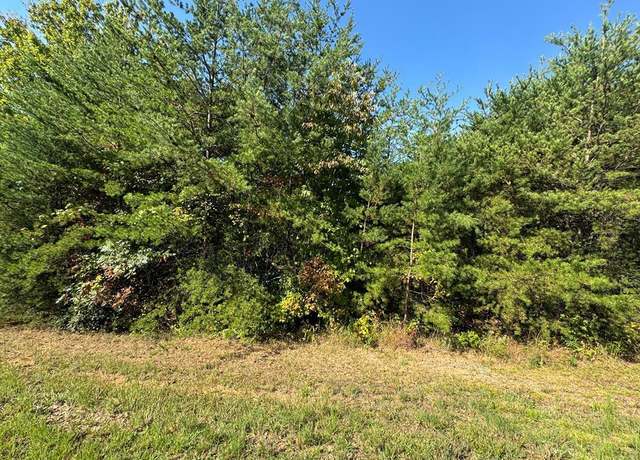 Property at 115 Blackhawk Ln, Turtletown, TN 37391
