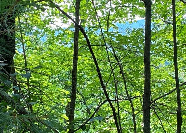 Property at Lot 645 Wedowee Ct Lot 5, Ellijay, GA 30540