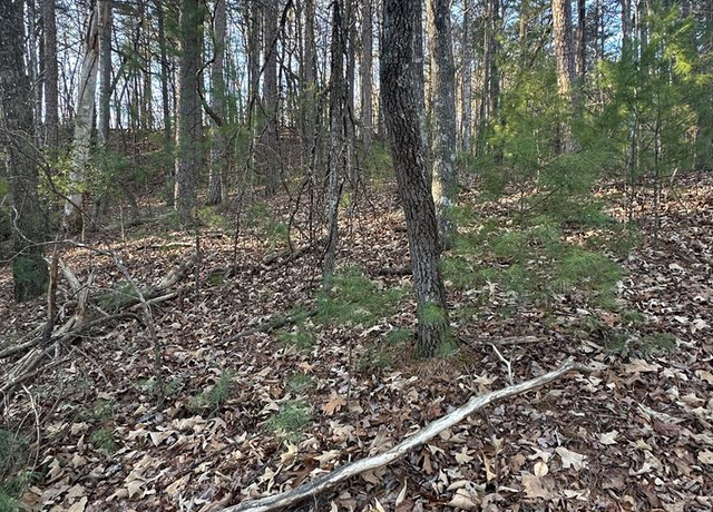 Property at 3.49 AC River Bend Rd, Ellijay, GA 30540