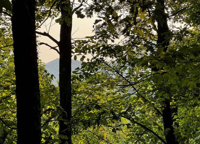 Property at 17B Amy Creek Cir, Ellijay, GA 30540