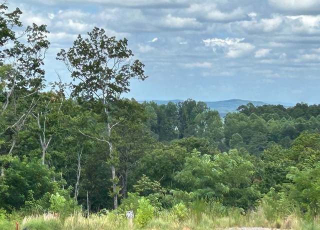 Property at LT 95 Timberline Trl, Ellijay, GA 30540