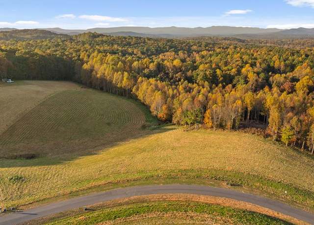 Property at Lot 25 Bravo Way, Talking Rock, GA 30175